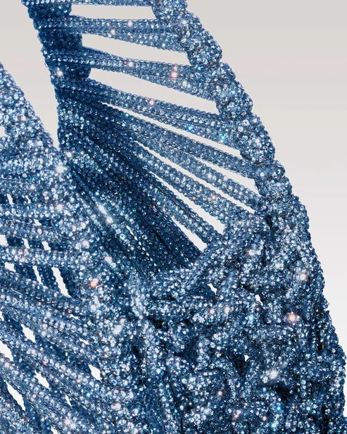 Daphne Jewel Bag –Blue